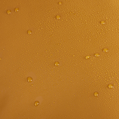  Спортивная сумка Thule Chasm Duffel Golden, 30 л, золотистая, 3205213 компании RackWorld